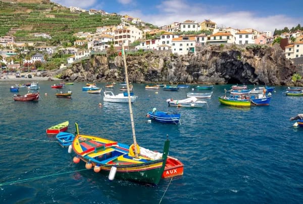 Vue du port de Câmara de Lobos à Madère.