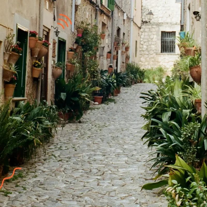 Calle empedrada de Valldemossa, Mallorca, con casas de piedra y macetas con plantas y flores.