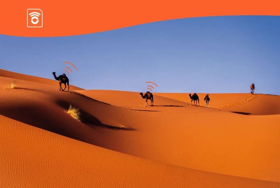 buy a TurTrip eSIM to get connected in Morocco with unlimited data and no roaming charges